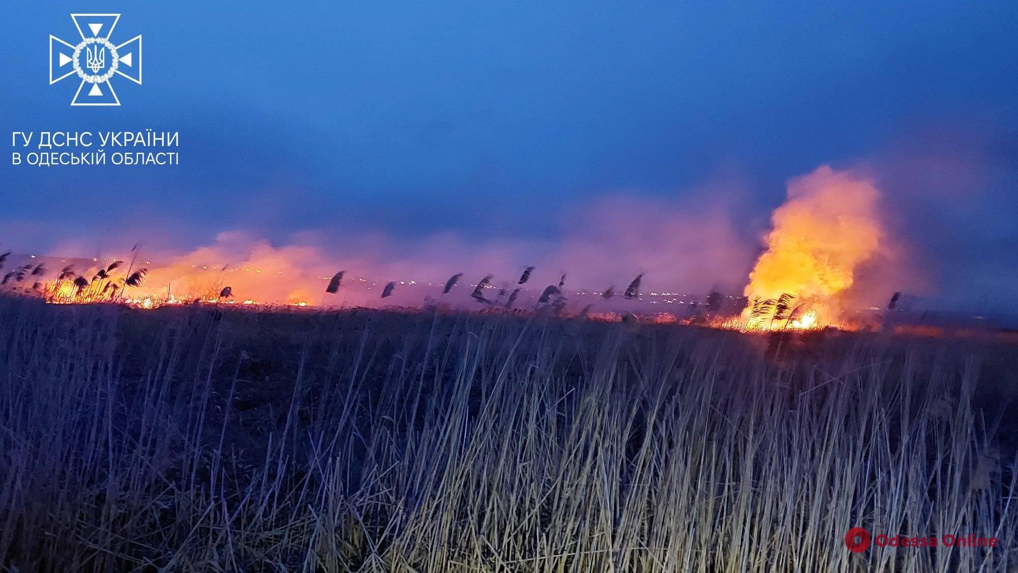 На Пересыпи произошел масштабный пожар на полях орошения (фото, видео)