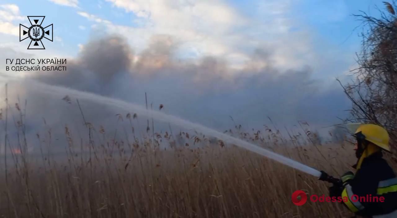 В Одесской области за сутки 15 раз горела сухая трава (фото, видео)