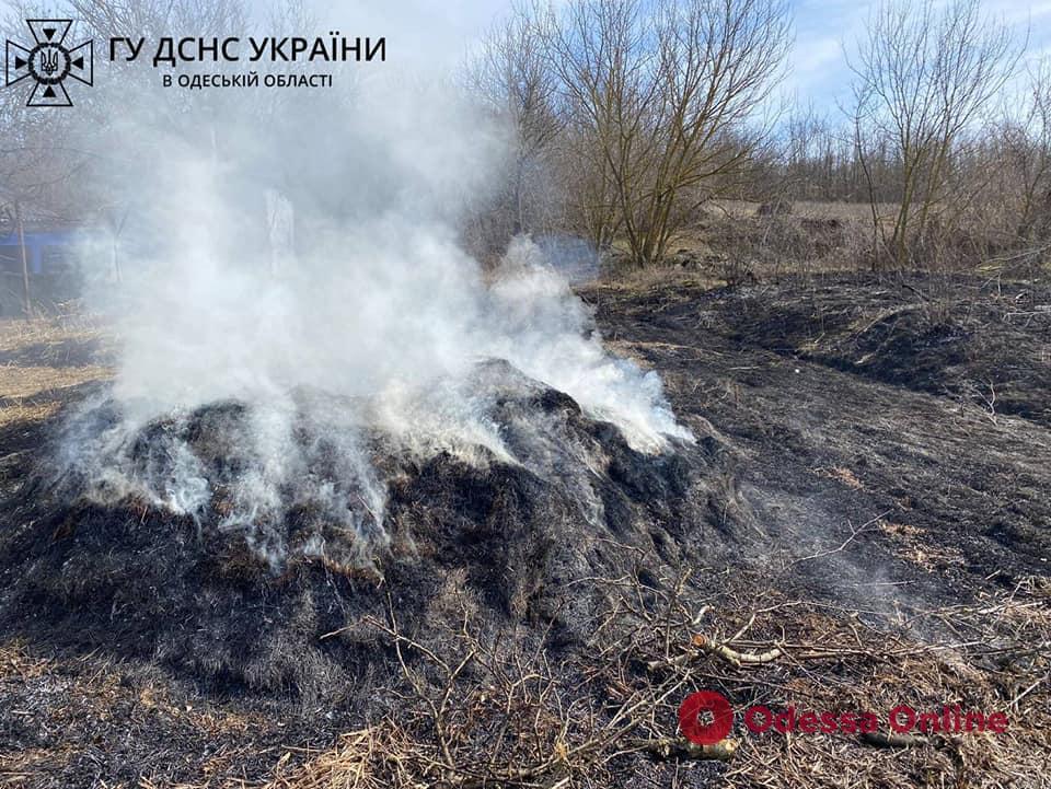 Хотел сжечь мусор, а устроил пожар: в Одесской области оштрафовали поджигателя сухой травы