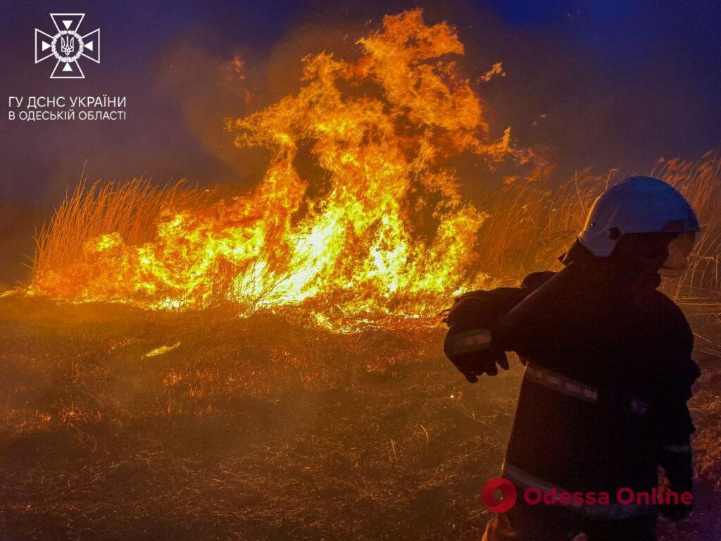 На Пересипі сталася масштабна пожежа на полях зрошення (фото, відео)