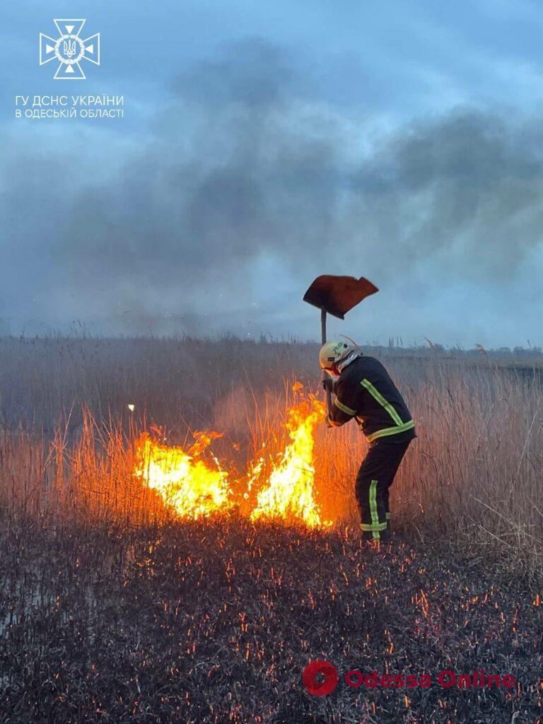 В Одессе горят поля орошения (обновлено)