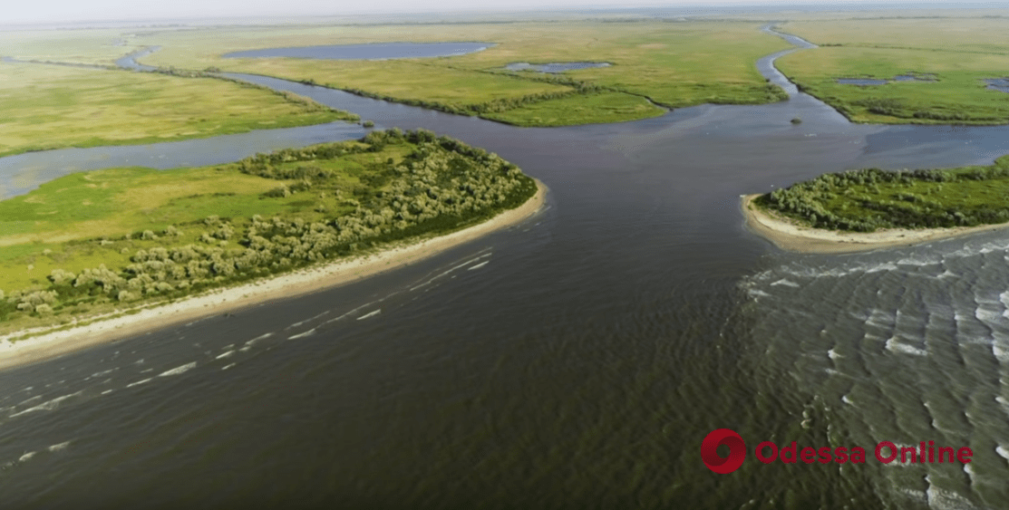 В Одеській області відкриють додаткові ділянки для рибальства на річці Дунай