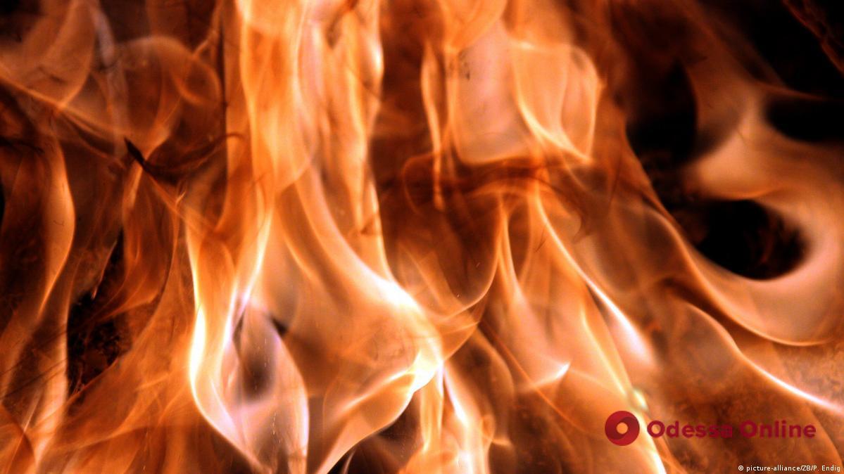 Огонь охватил 100 квадратных метров: под Одессой тушили пожар
