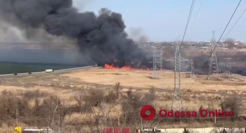 В Одессе горит сухая трава и камыш (видео)