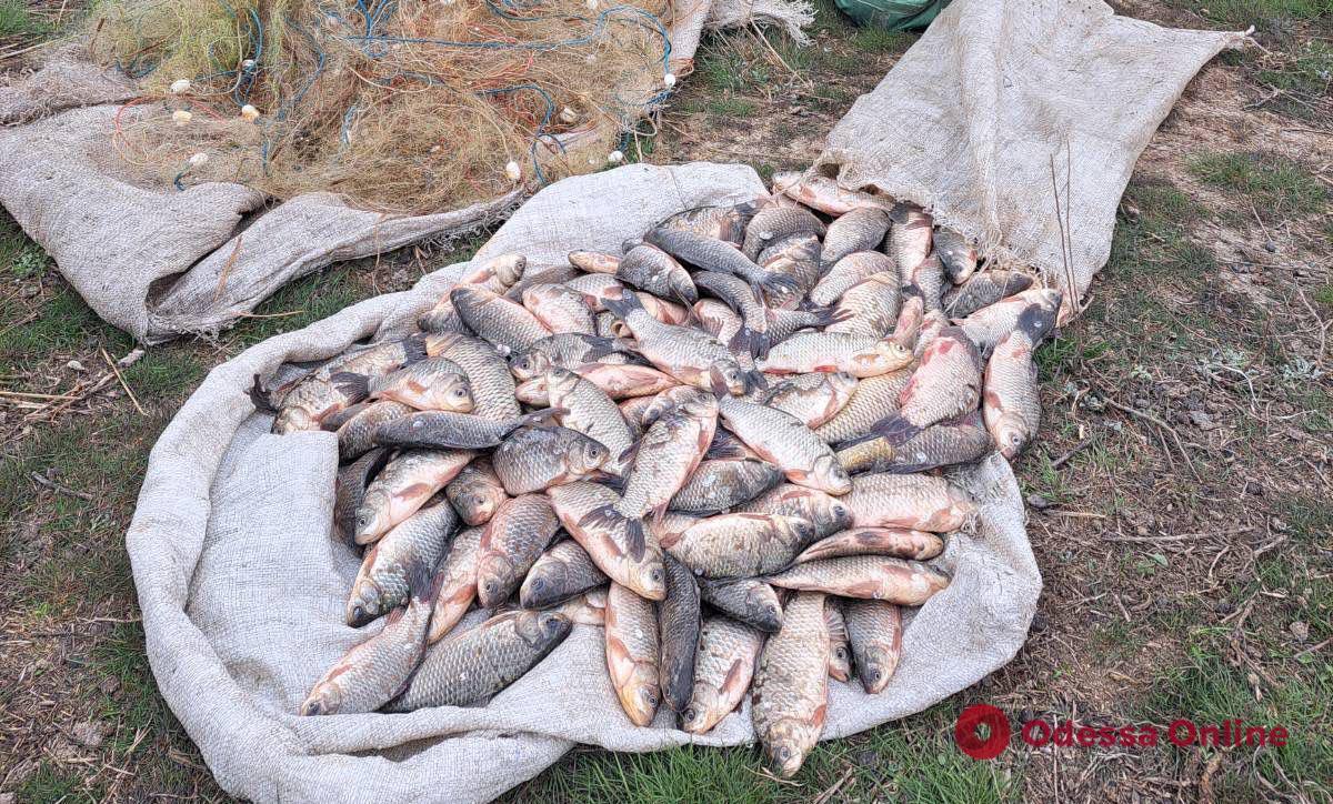 Браконьеры наловили рыбы в НПП «Тузловские лиманы» на полмиллиона гривен