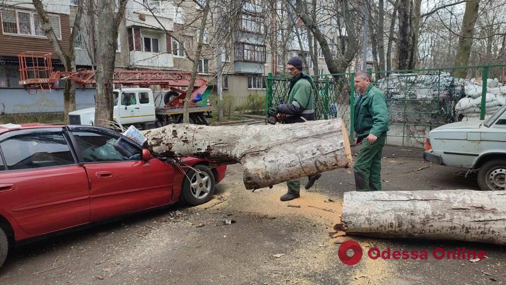 Сильный ветер в Одессе: выросло количество пострадавших из-за непогоды