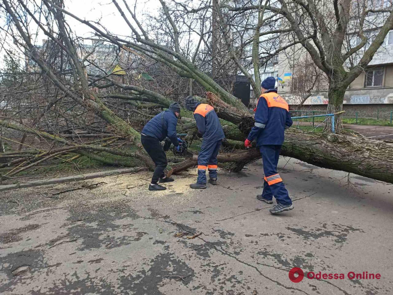 Сильний вітер в Одесі: зросла кількість постраждалих через негоду