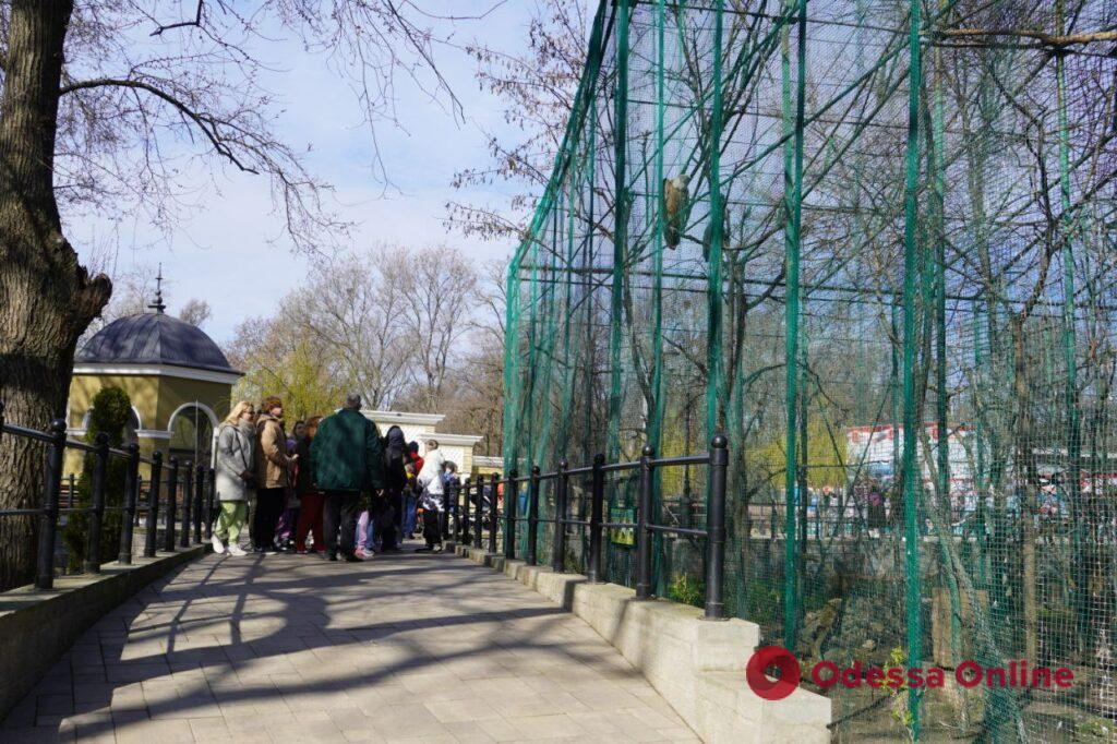 В Одеському зоопарку провели екскурсію для переселенців