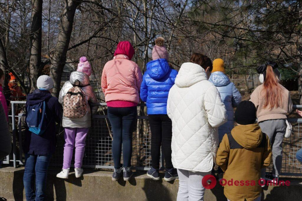 В Одесском зоопарке провели экскурсию для переселенцев