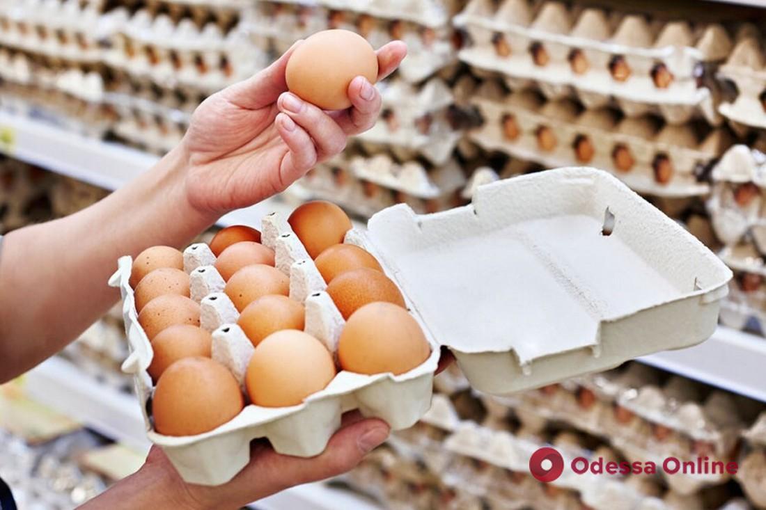 В Минагрополитики прогнозируют снижение цен на яйца на 20-40%
