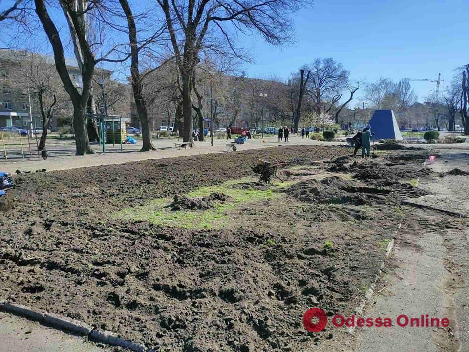 Одесса: в Прохоровском сквере высадят 114 деревьев