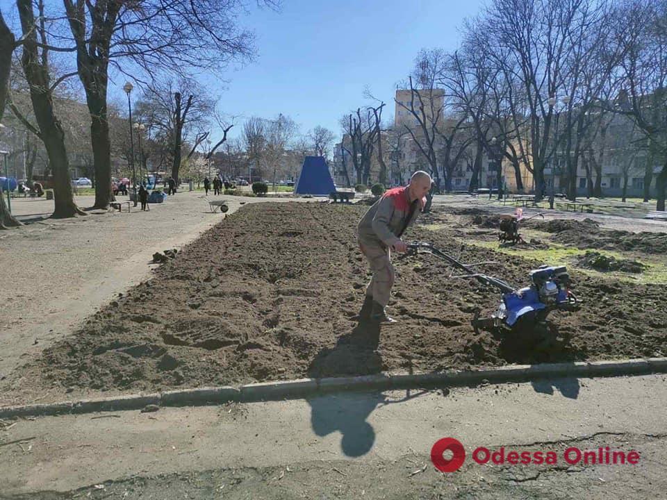 Одесса: в Прохоровском сквере высадят 114 деревьев