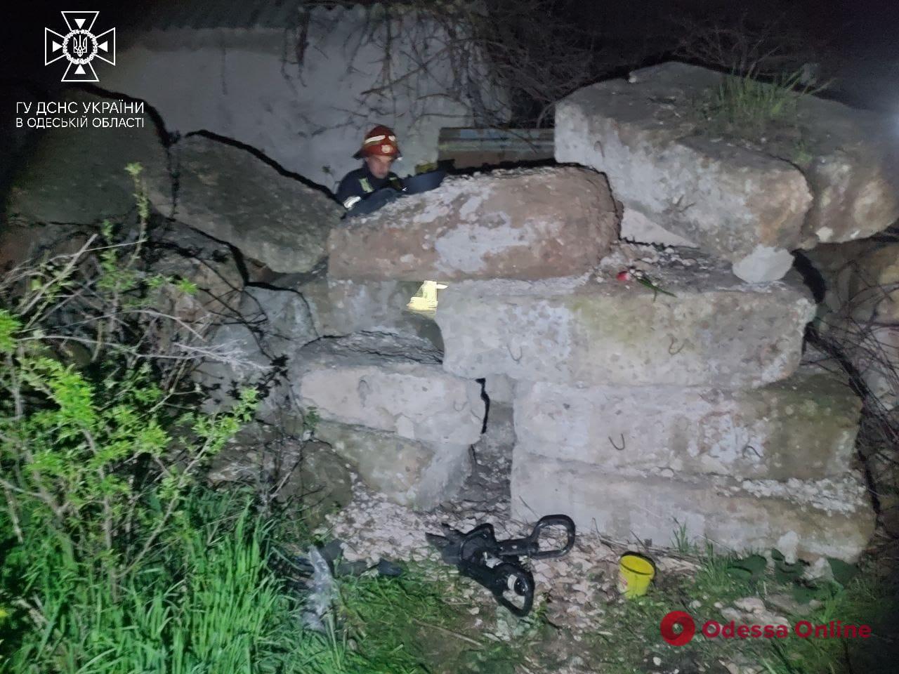 На Одещині врятували цуценят, які застрягли під залізобетонними блоками (фото)