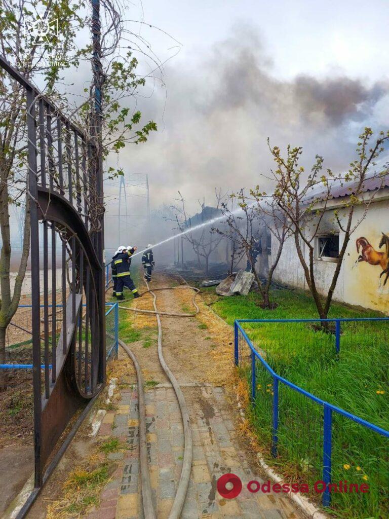 В Одесской области произошел пожар в конюшне (фото)