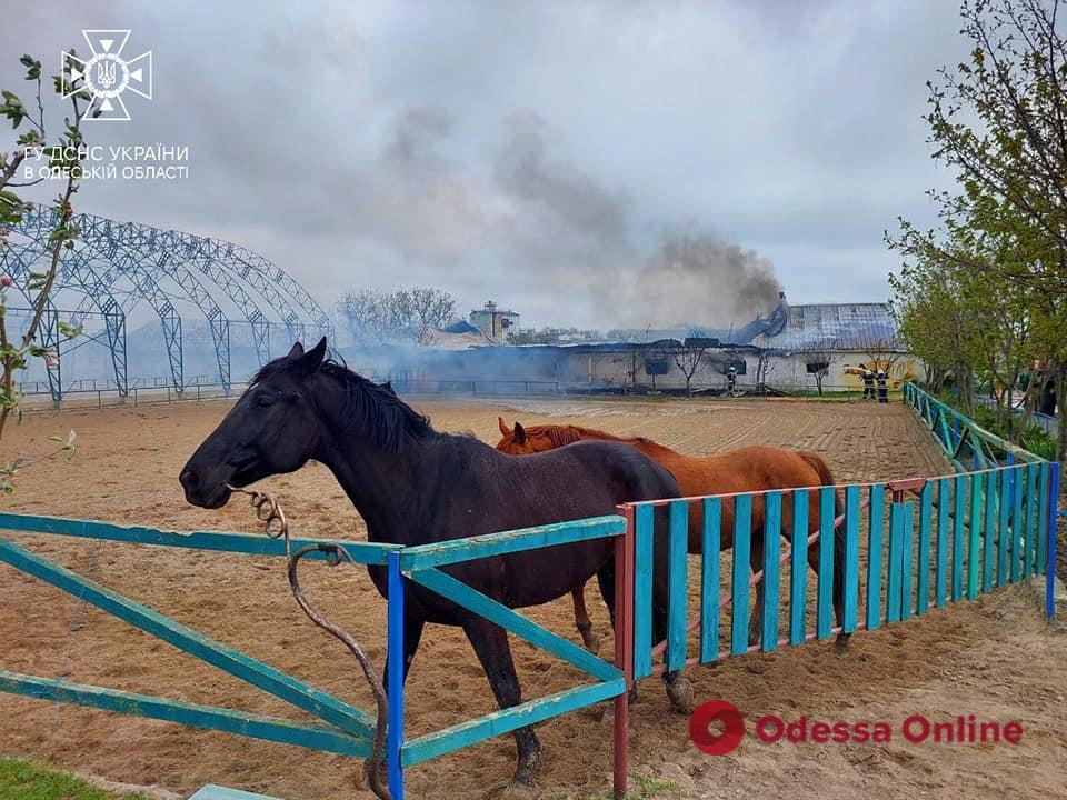 На Одещині сталася пожежа в конюшні (фото)