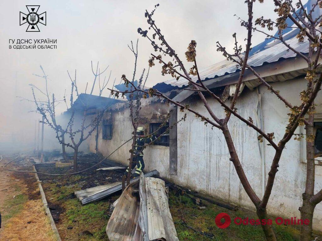 На Одещині сталася пожежа в конюшні (фото)