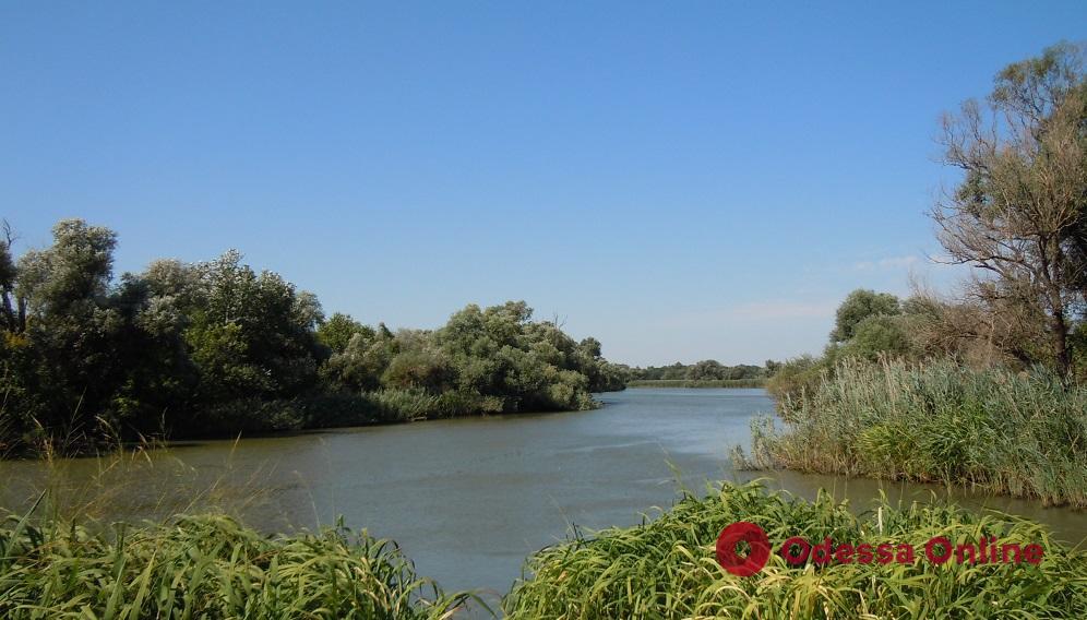 С сегодняшнего дня на большинстве водоемов Одесской области начинает действовать весенне-летний нерестовый запрет