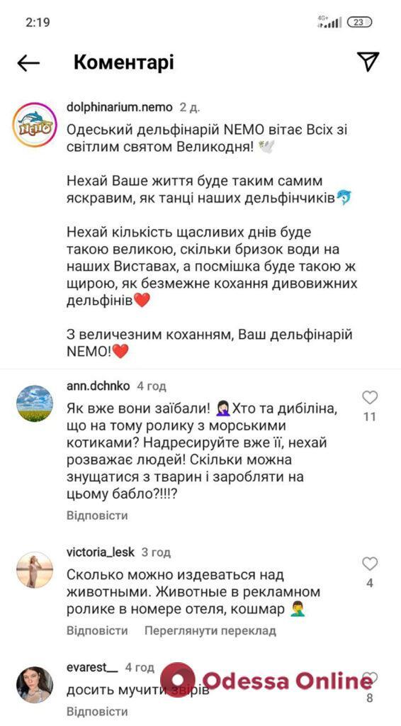В Одессе набирает обороты скандал из-за видео с морскими котиками в номере отеля «Немо»