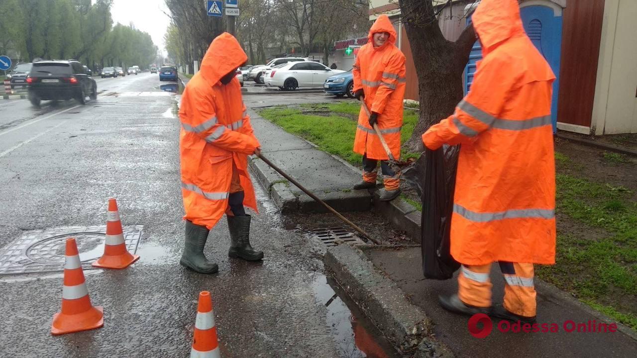 Одесситов просят не оставлять авто под деревьями и на дождеприемниках