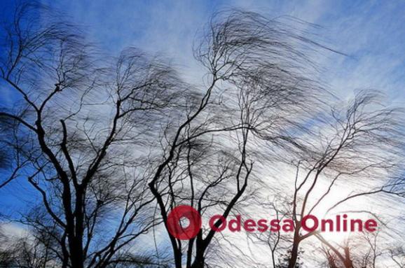 Очікується посилення вітру: 29 квітня в Одесі та області оголошено штормове попередження