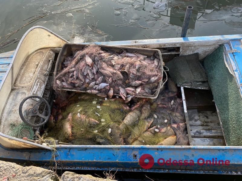 В Одесской области двое браконьеров наловили рыбы на полтора миллиона гривен