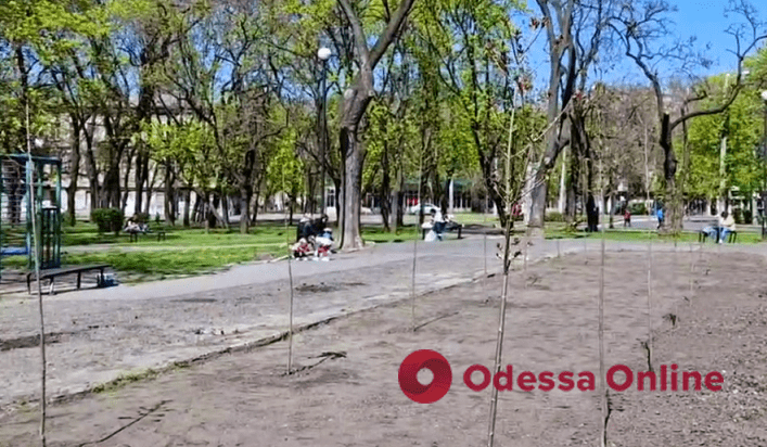 У Прохорівському сквері висадили сотню кленів на честь людей, які в роки окупації Одеси укривали євреїв