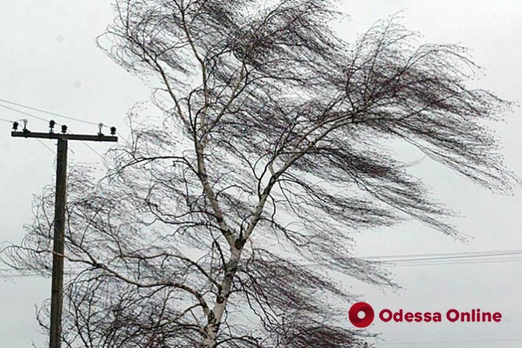 Штормовое предупреждение в Одессе и области: 8 ноября ожидается ветреная погода