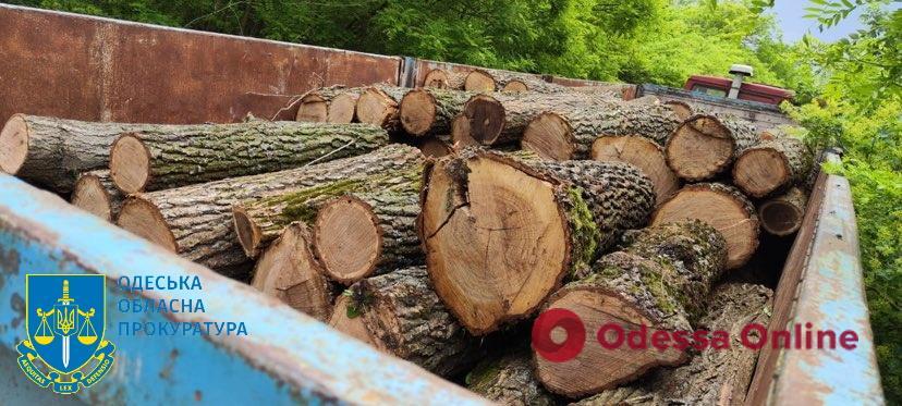 В Одесской области на взятке попался сотрудник лесной охраны