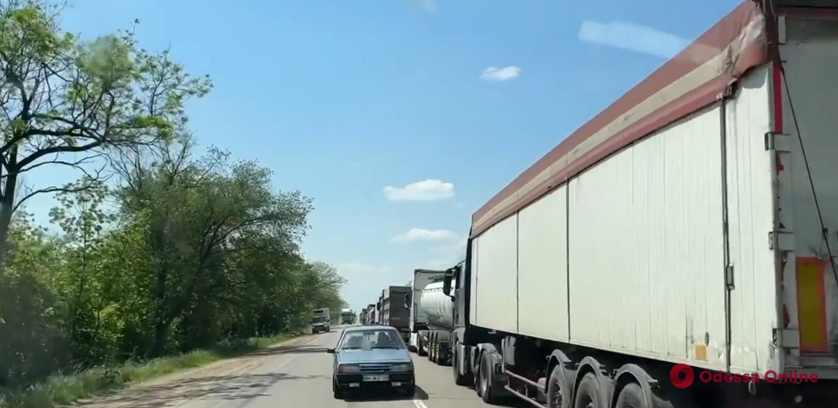 Співробітники «швидкої» зняли «автооленя» на дорозі Одеса – Рені (відеофакт)
