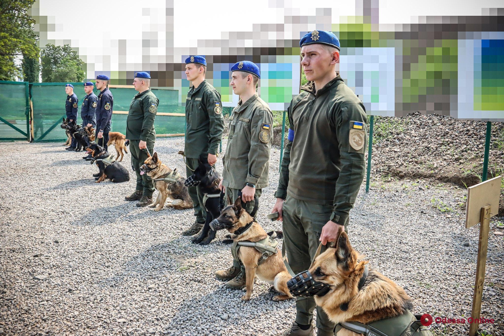 В Одесской области наградили гвардейцев-кинологов и служебную овчарку (фото)