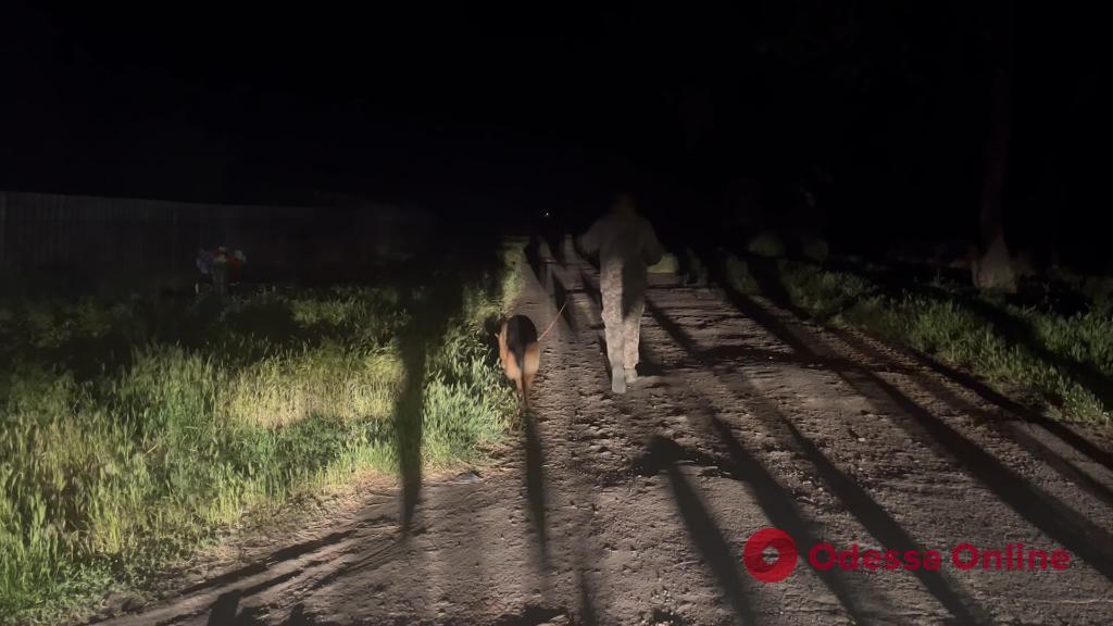 На Одещині цілу ніч шукали зниклу дівчинку – дитина була на закинутій фермі