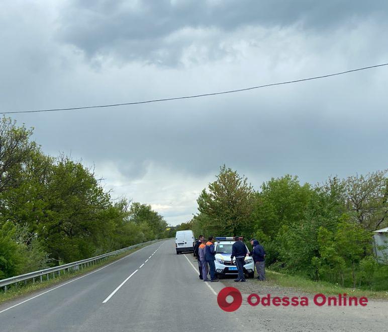В Белгород-Днестровском районе грузовой фургон сбил 14-летнюю девочку