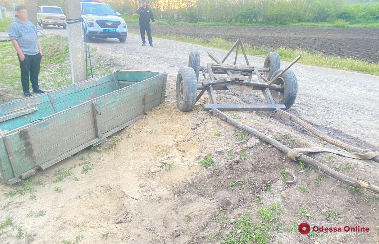 В Одесской области пьяная девушка на легковушке врезалась в повозку, в которой были дети