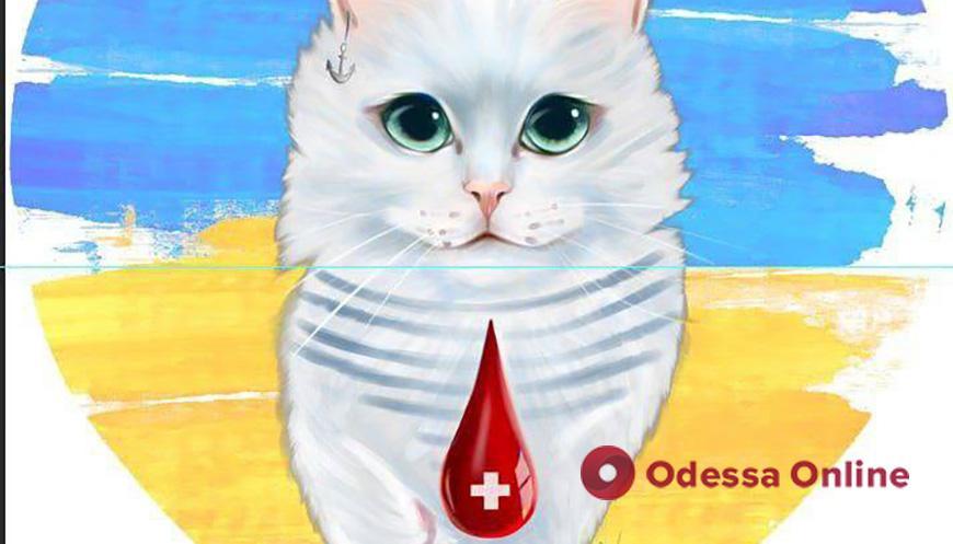 Собрали две тысячи литров крови: проект «Донор Одесса» победил на конкурсе лучших примеров несокрушимости и содействия