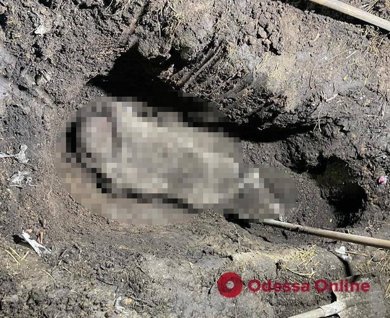 В Одесской области двое мужчин избили знакомого и держали в подвале, пока он не умер, а затем зарыли тело