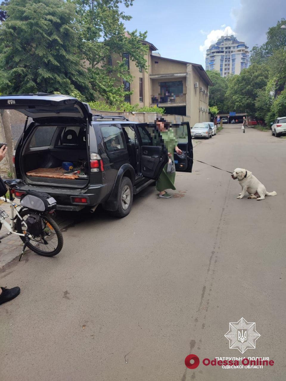 Одесситка надолго оставила собаку в закрытом автомобиле – на женщину составили админпротокол