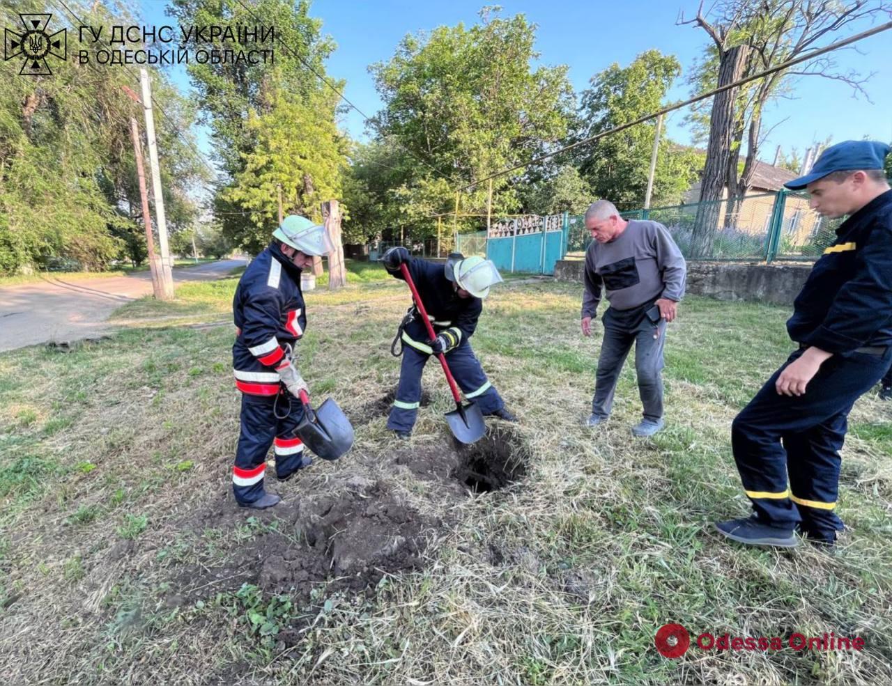 В Одесской области спасли из канализационной ямы собаку и гусят (фото)