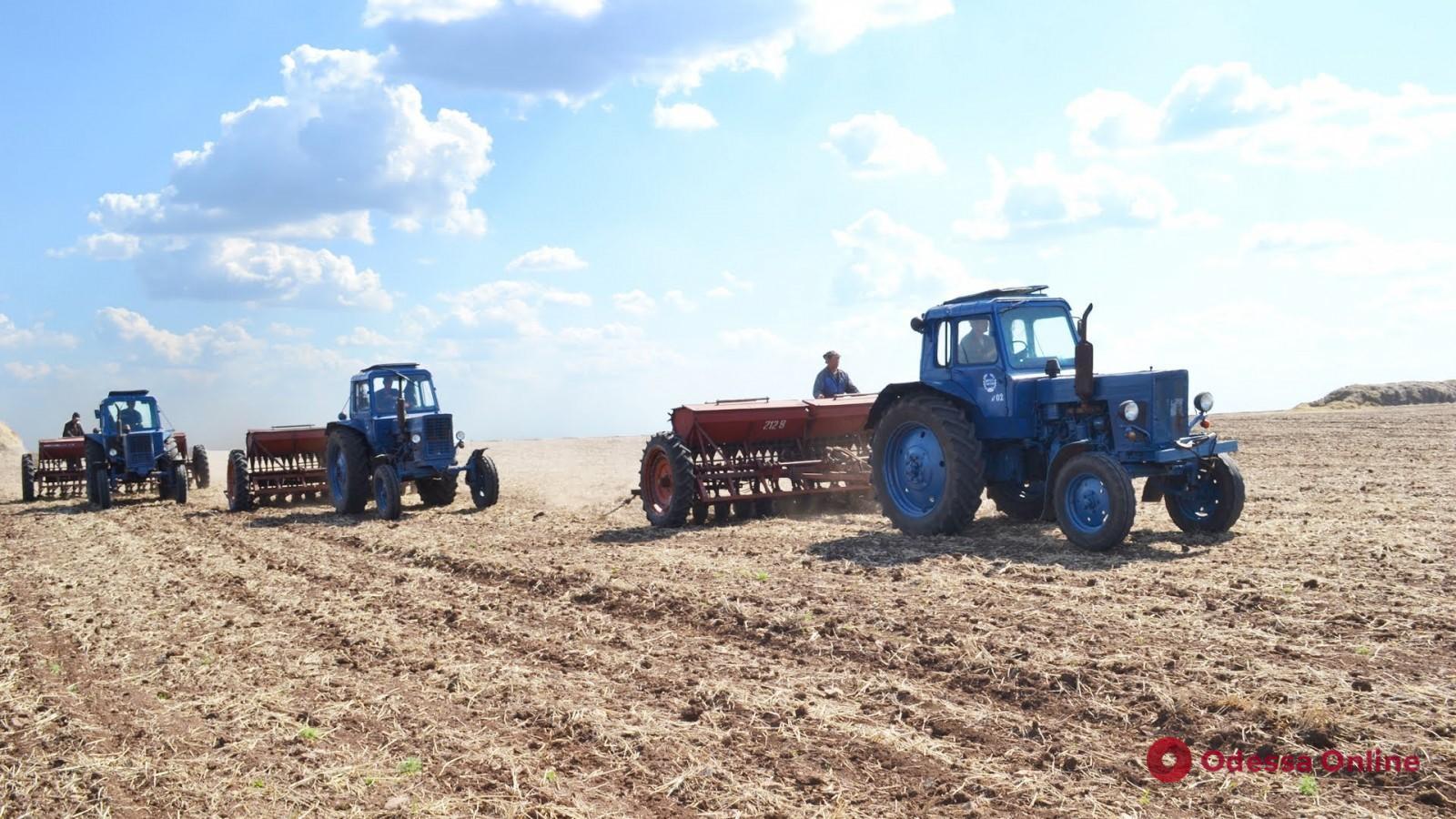 Україна засіяла понад 3,5 млн гектарів зернових
