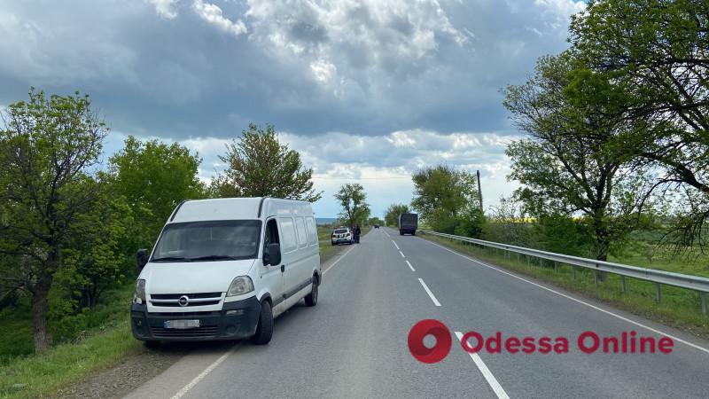 В Белгород-Днестровском районе грузовой фургон сбил 14-летнюю девочку