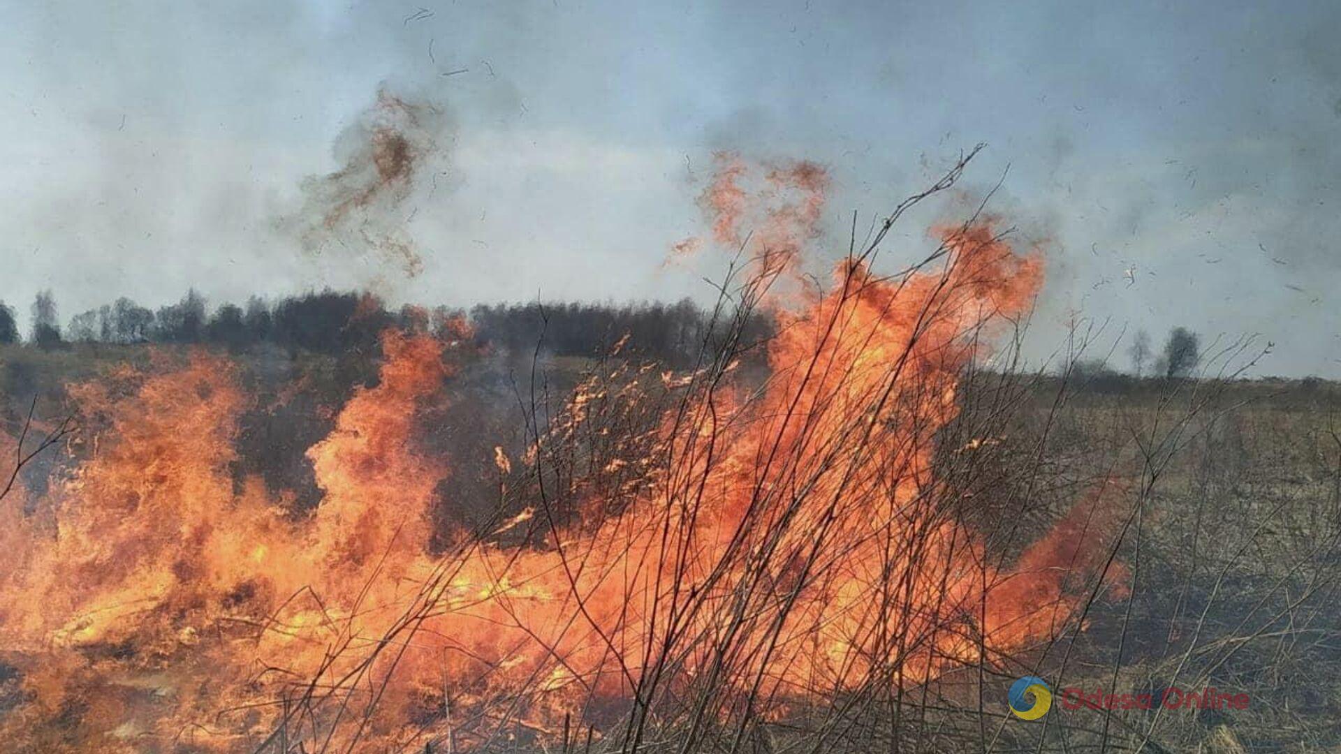 Засуха: в Одесской области за сутки выгорело шесть гектаров сухостоя