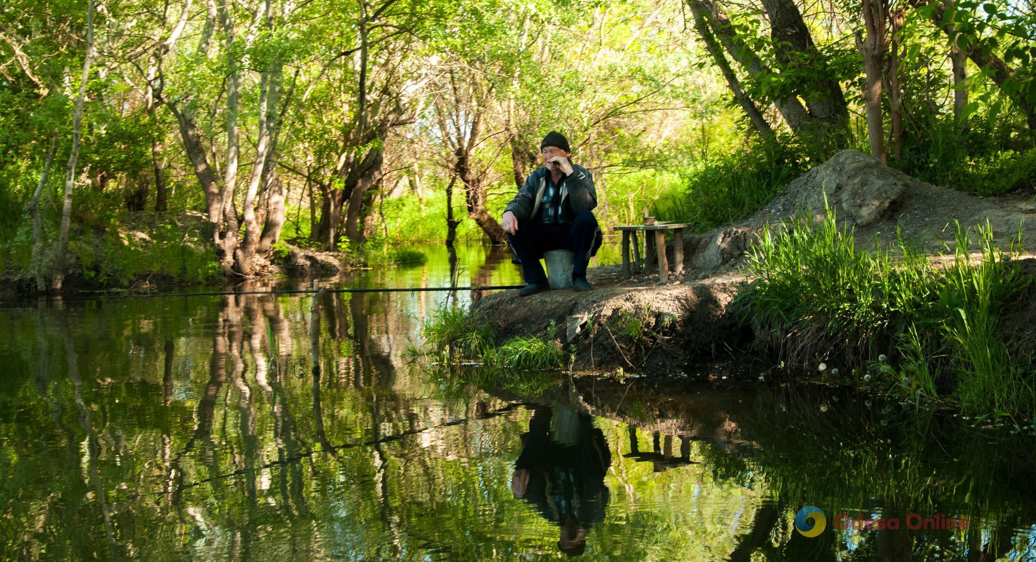 На большинстве водоемов Одесской области разрешили ловить рыбу