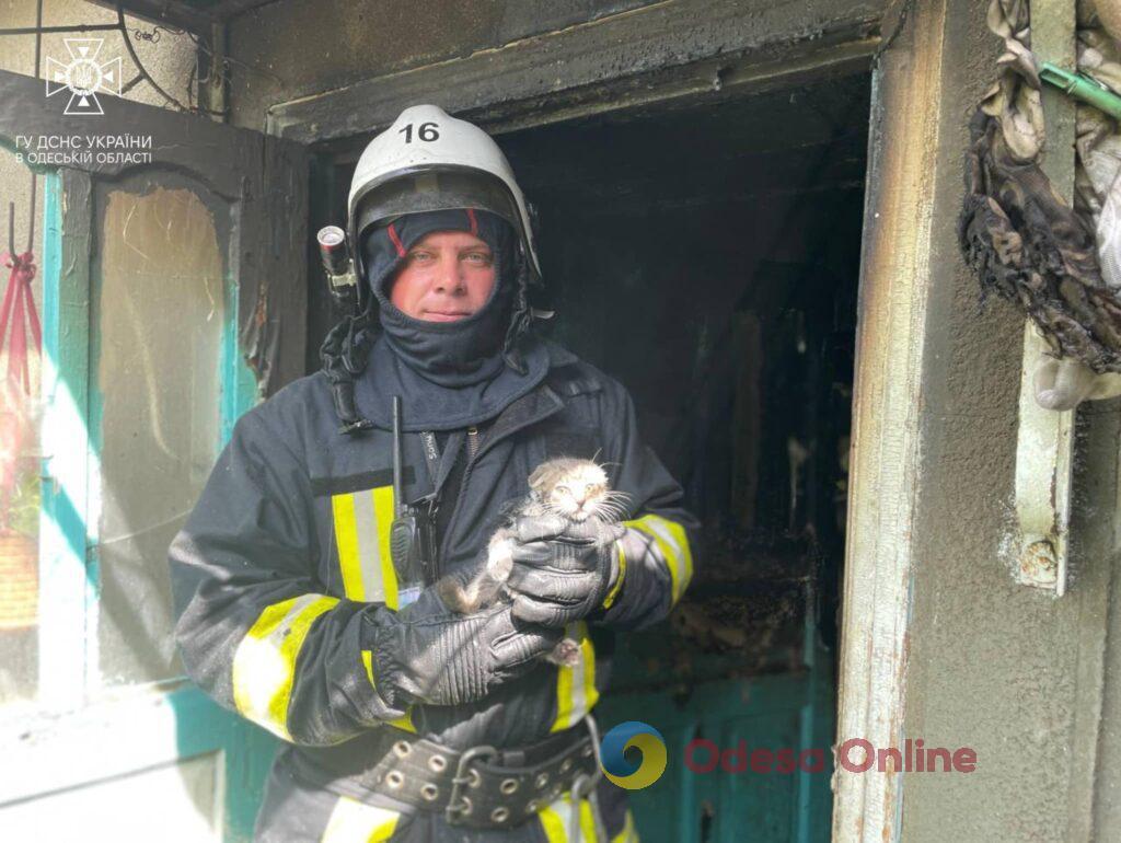 В Белгород-Днестровском районе едва не сгорел жилой дом (фото)