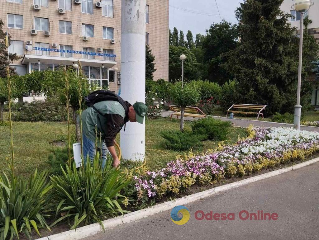 Одесу прикрасили понад п’ять тисяч яскравих літніх квітів (фото)