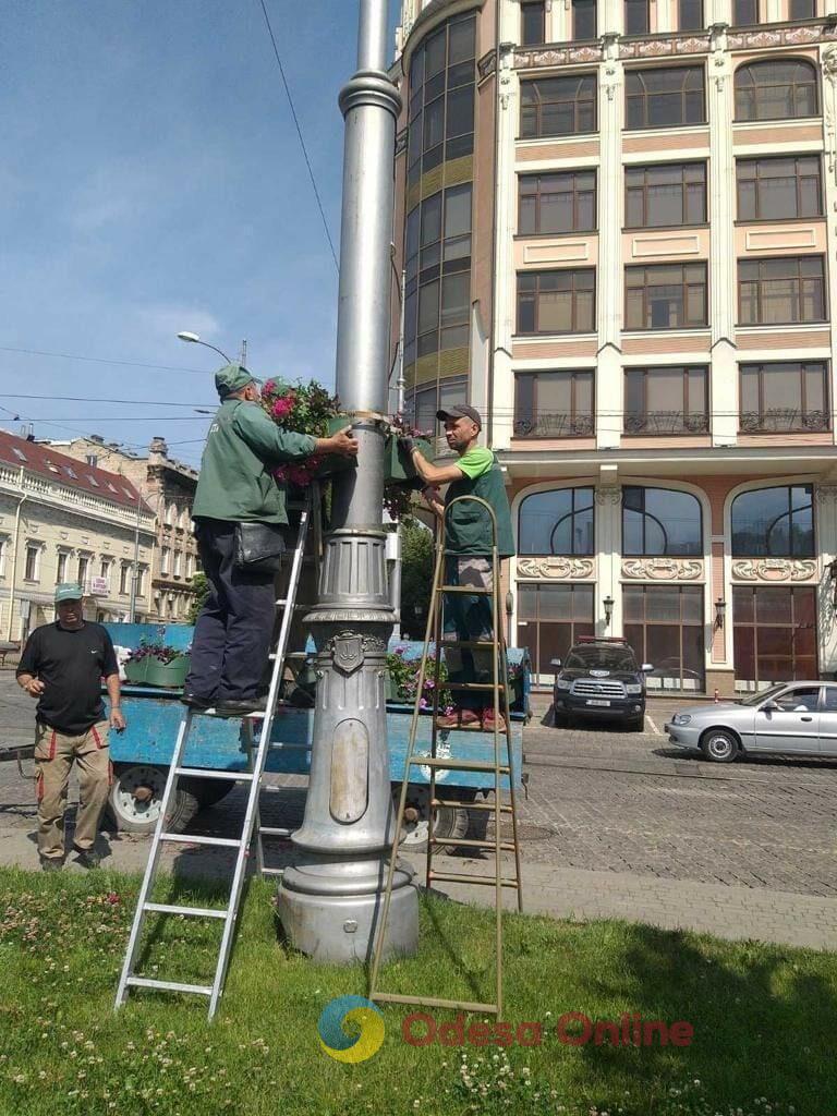 Одесу прикрасили понад п’ять тисяч яскравих літніх квітів (фото)