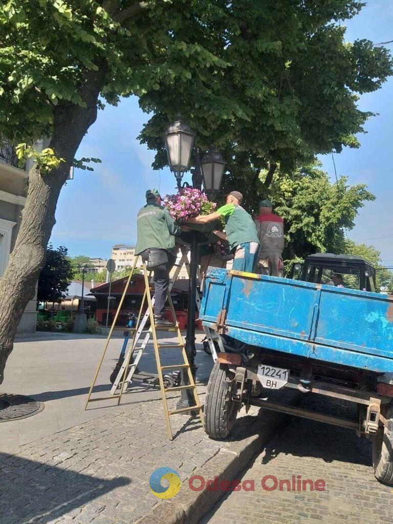 Одесу прикрасили понад п’ять тисяч яскравих літніх квітів (фото)