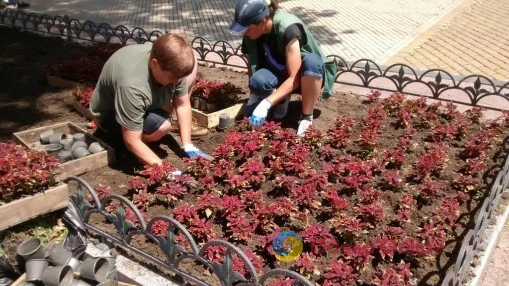 Одесу прикрасили понад п’ять тисяч яскравих літніх квітів (фото)