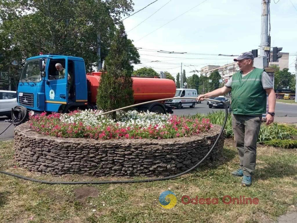 Одесу прикрасили понад п’ять тисяч яскравих літніх квітів (фото)