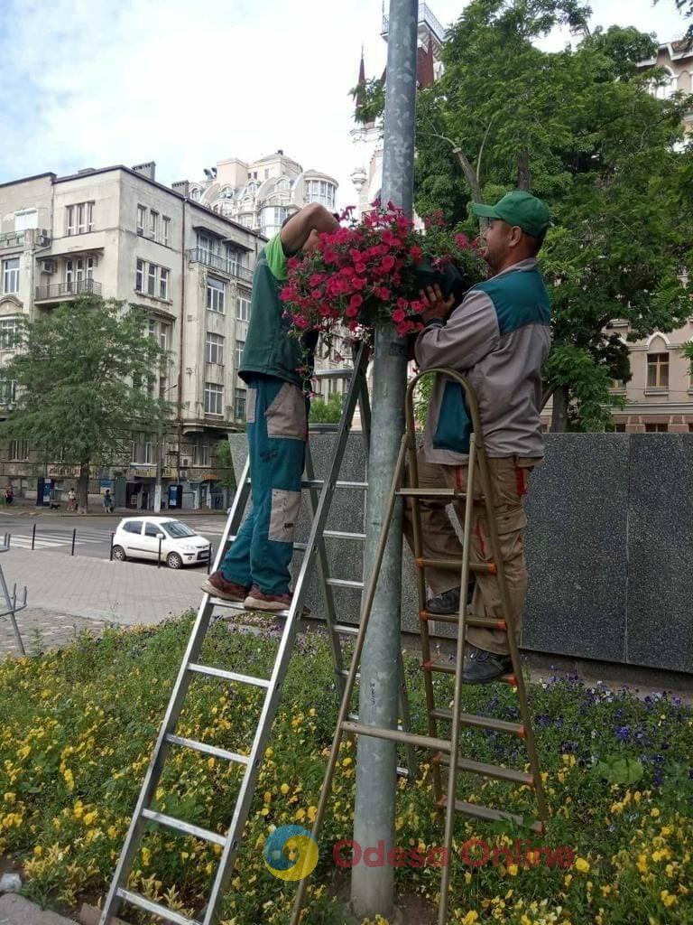 Одесу прикрасили понад п’ять тисяч яскравих літніх квітів (фото)