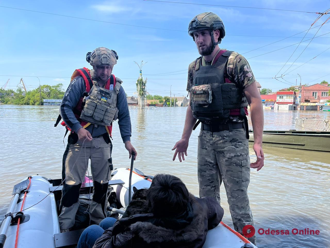 Нацгвардейцы из Одессы обеспечивают эвакуацию в Херсонской области (фото)