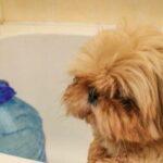 Часть жителей Одессы и Одесского района осталась без воды